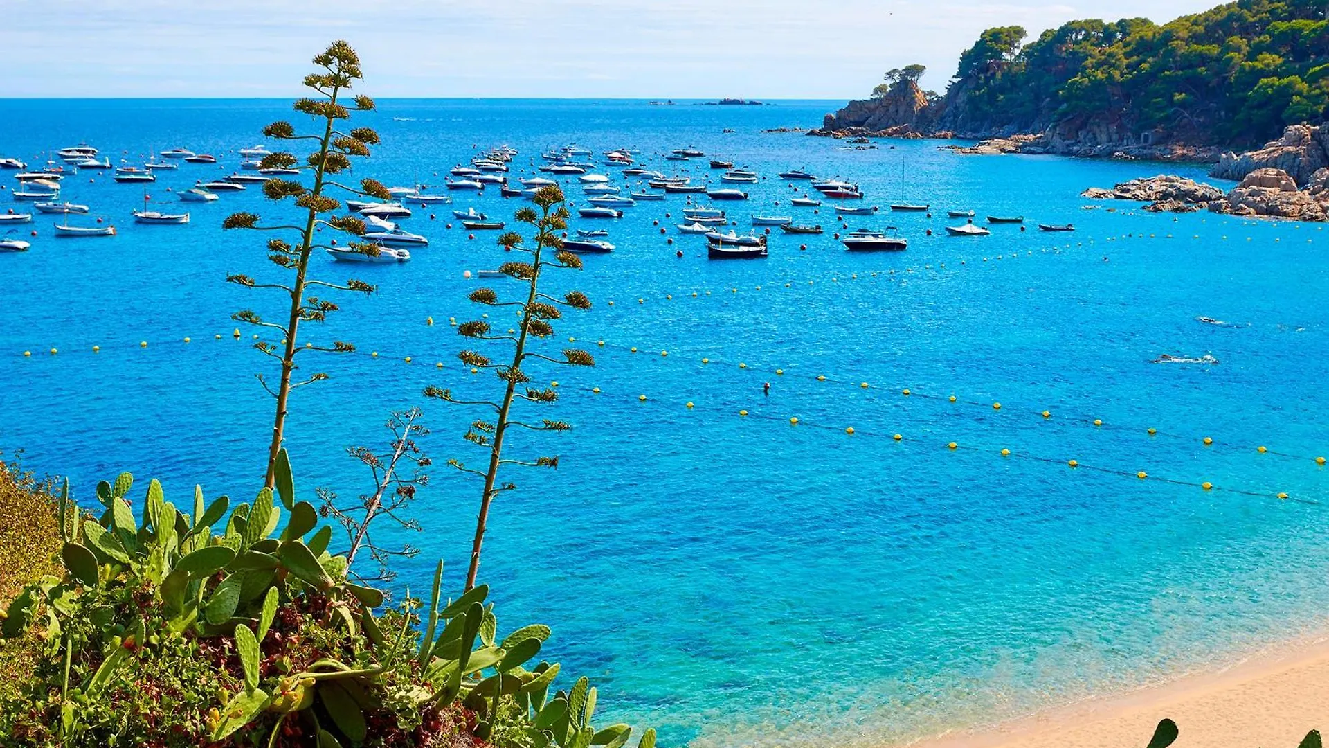 Villa 2Vick01 Calella De Palafrugell